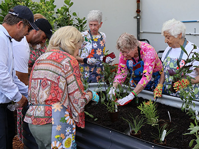 Group of adults working in garden